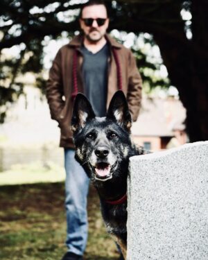 Ricky Gervais Instagram - #AfterLife3 Jan I4 #Netflix