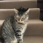 Ricky Gervais Instagram -