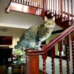 Ricky Gervais Instagram – Why sit there?