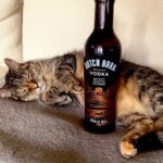 Ricky Gervais Instagram – Exploiting my cat 😂