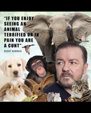 Ricky Gervais Instagram - 