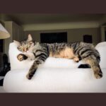 Ricky Gervais Instagram – Chillin’