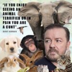 Ricky Gervais Instagram –
