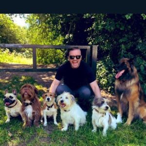 Ricky Gervais Instagram - Imagine if you had to watch comedy that you found offensive, boring or unfunny. That would be awful. Luckily, you don't. Phew! Anyway, here are some dogs.