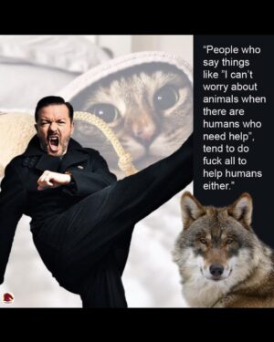 Ricky Gervais Instagram - 