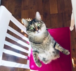 Ricky Gervais Instagram - Look at her little face ❤️