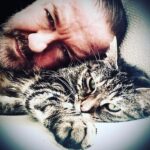 Ricky Gervais Instagram – ❤️