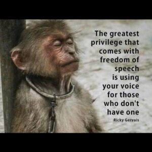 Ricky Gervais Instagram - Thanks for following. Please tell your friends to follow too. We can create a huge army together to help animals ❤️
