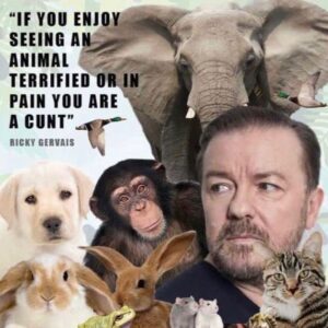 Ricky Gervais Instagram - 
