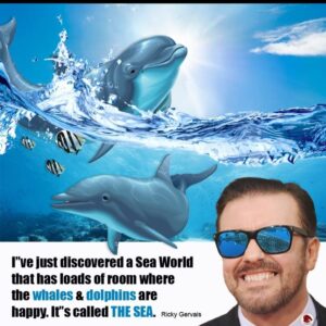 Ricky Gervais Instagram - 