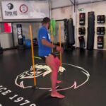 Rico Verhoeven Instagram - Live agility training