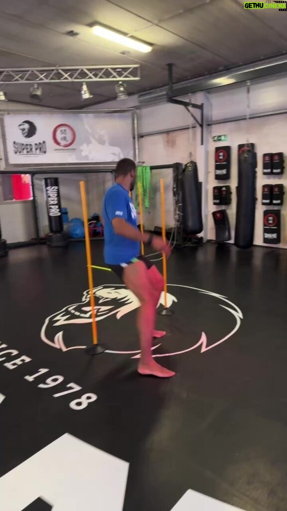 Rico Verhoeven Instagram - Live agility training