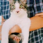 Riho Yoshioka Instagram - チビです。 80年代の夏にタイムスリップしたらおりました🐈‍⬛ ドラマ始まるので色々出ます。 9日　なんかオモ,10日 華大さんと千鳥くん, 午前中電波ジャック,雑誌など… 見つけてね。 @kadora_11 #ドラマ　#トキコイ #時をかけるな恋人たち