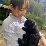 Riho Yoshioka Instagram – “忍びの家 HOUSE OF NINJAS”

忍者猫🐈‍⬛
抜き足差し足上手です。
暗闇に紛れます。
人間を油断させます。

2月15日よりNetflix独占配信🥷

黒猫かわいいですよね。
この子はまた特別可愛かったです。
実家にも昔、おいでーと言うと走って抱きついてきてくれる黒猫がおりました。