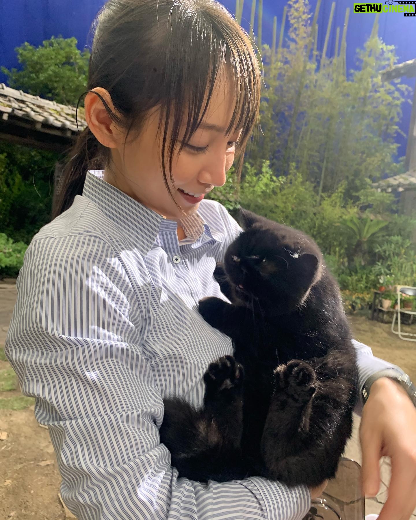 Riho Yoshioka - 172.8K Likes - "忍びの家 HOUSE OF NINJAS"
忍者猫🐈⬛
抜き足差し足上手です。
暗闇に紛れます。
人間を油断させます。
2月15日よりNetflix独占配信🥷
黒猫かわいいですよね。
この子はまた特別可愛かったです。
実家にも昔、おいでーと言うと走って抱きついてきてくれる黒猫がおりました。