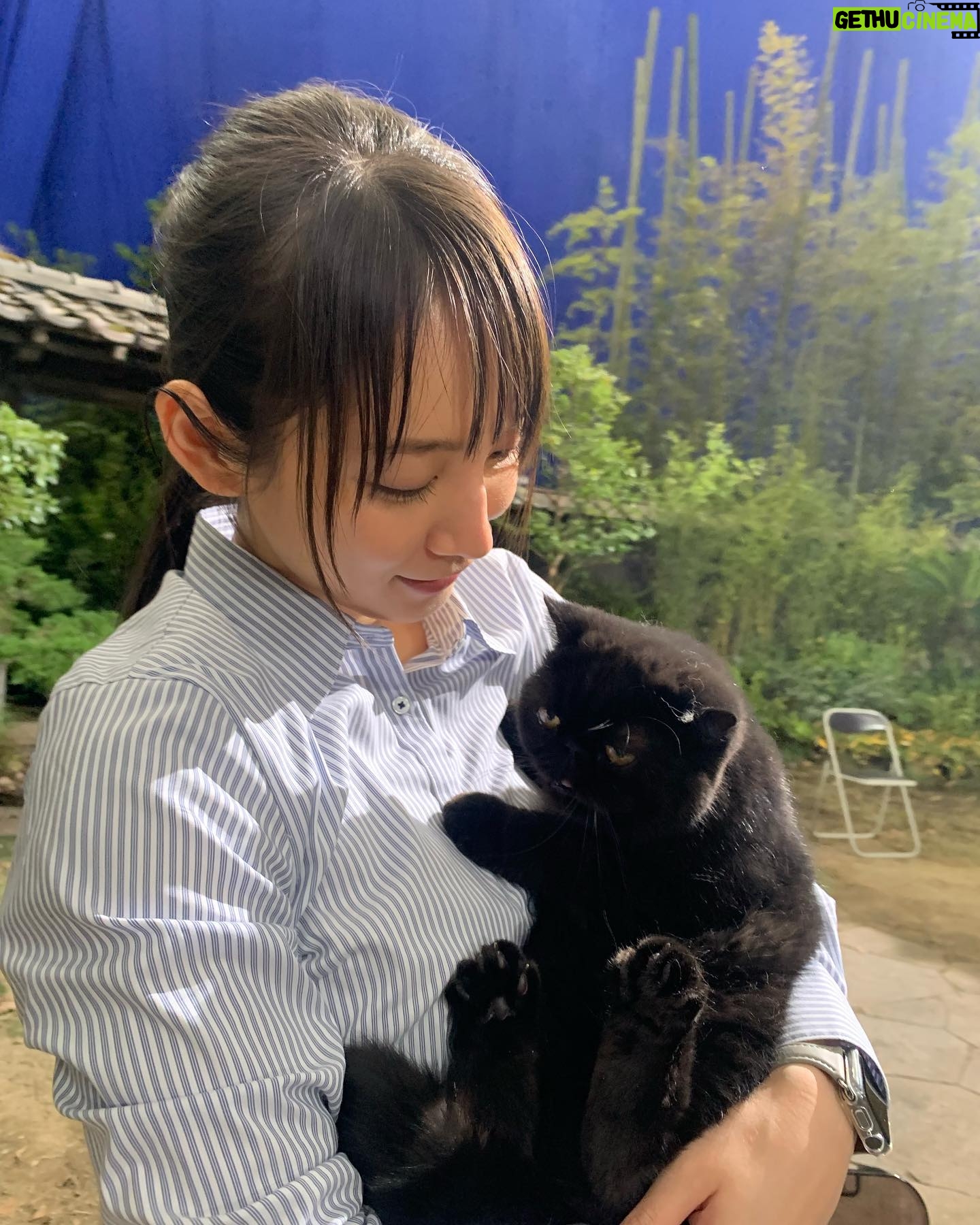Riho Yoshioka - 172.8K Likes - "忍びの家 HOUSE OF NINJAS"
忍者猫🐈⬛
抜き足差し足上手です。
暗闇に紛れます。
人間を油断させます。
2月15日よりNetflix独占配信🥷
黒猫かわいいですよね。
この子はまた特別可愛かったです。
実家にも昔、おいでーと言うと走って抱きついてきてくれる黒猫がおりました。