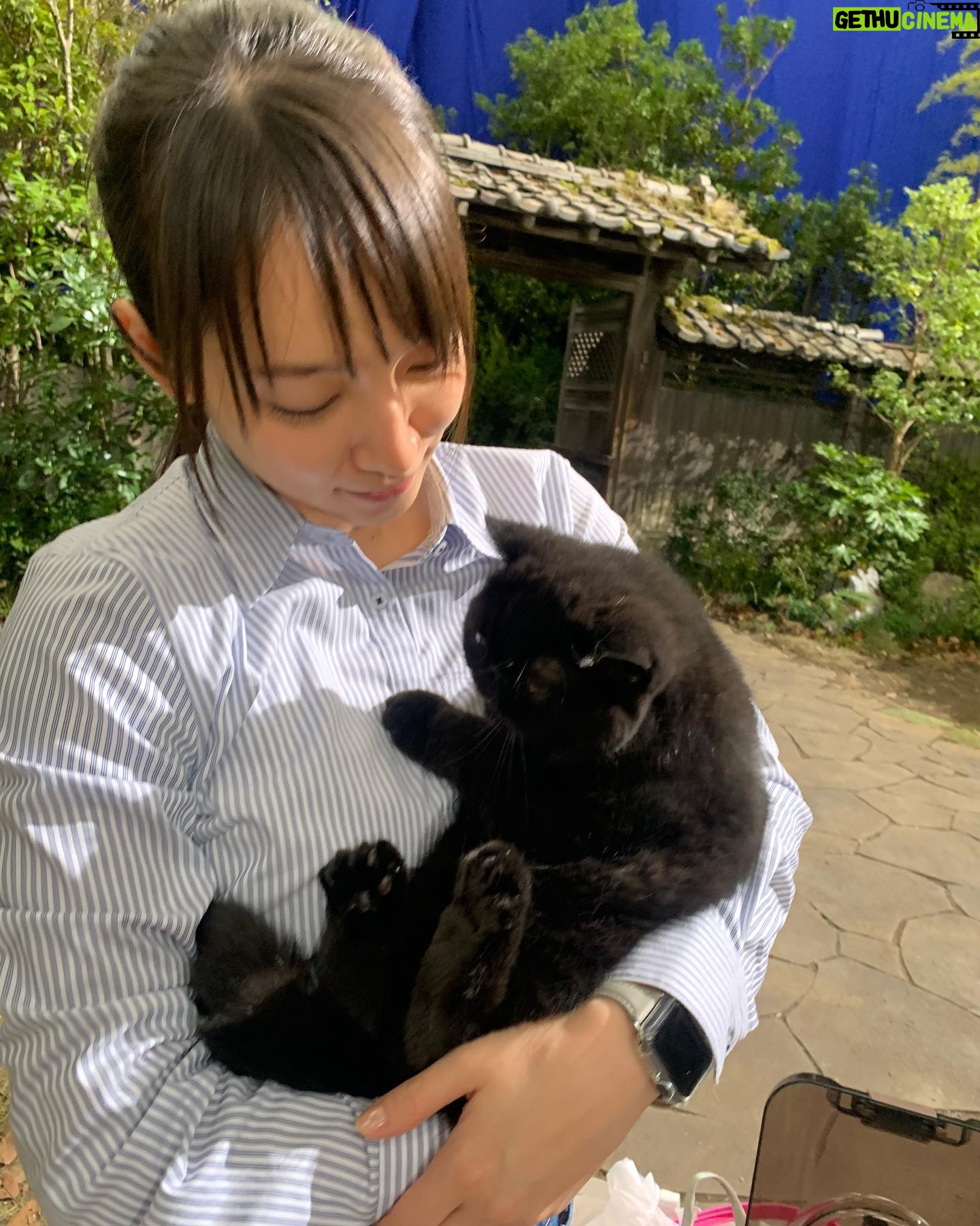 Riho Yoshioka - 172.8K Likes - "忍びの家 HOUSE OF NINJAS"
忍者猫🐈⬛
抜き足差し足上手です。
暗闇に紛れます。
人間を油断させます。
2月15日よりNetflix独占配信🥷
黒猫かわいいですよね。
この子はまた特別可愛かったです。
実家にも昔、おいでーと言うと走って抱きついてきてくれる黒猫がおりました。