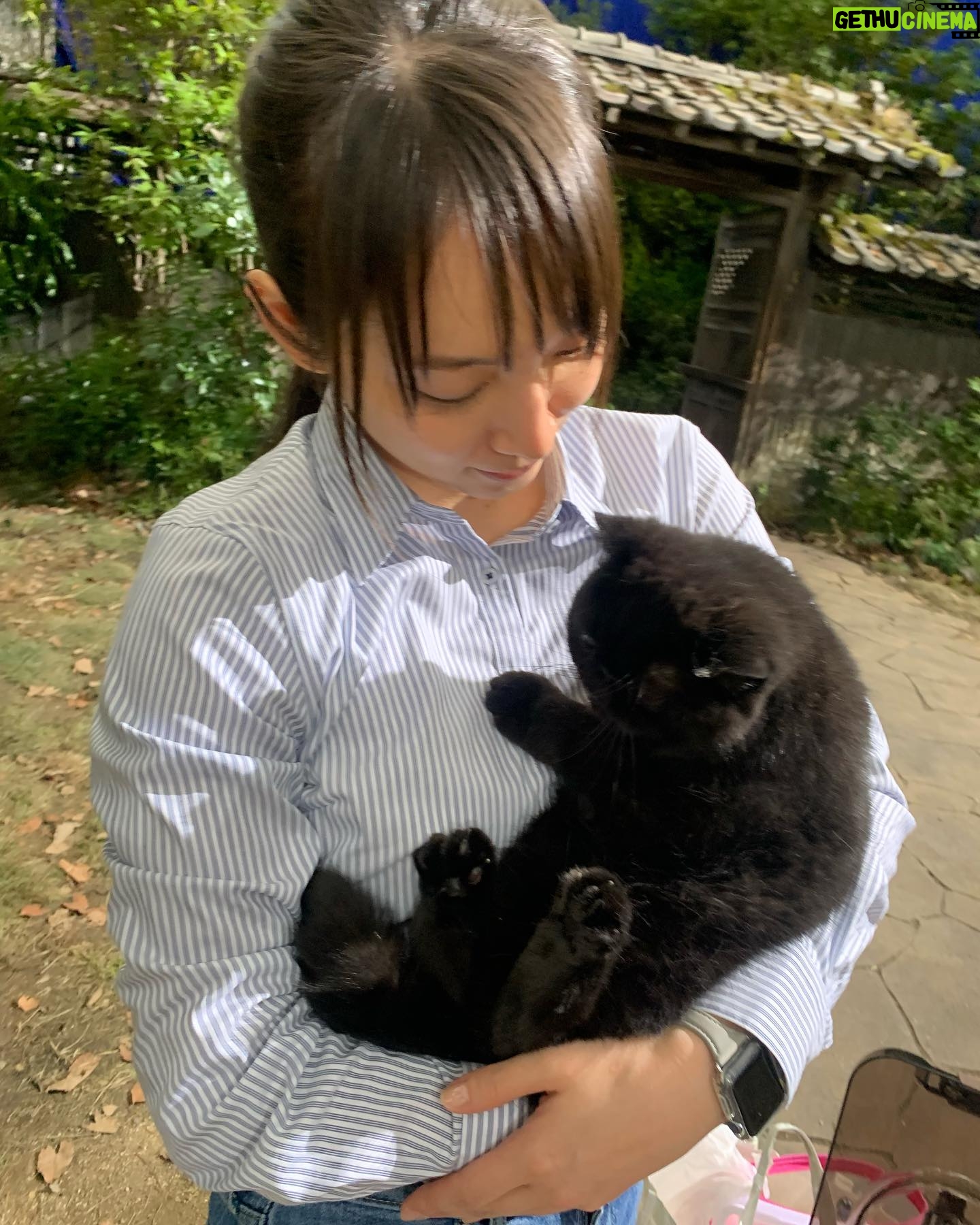 Riho Yoshioka - 172.8K Likes - "忍びの家 HOUSE OF NINJAS"
忍者猫🐈⬛
抜き足差し足上手です。
暗闇に紛れます。
人間を油断させます。
2月15日よりNetflix独占配信🥷
黒猫かわいいですよね。
この子はまた特別可愛かったです。
実家にも昔、おいでーと言うと走って抱きついてきてくれる黒猫がおりました。