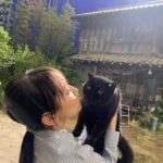 Riho Yoshioka Instagram - "忍びの家 HOUSE OF NINJAS" 忍者猫🐈‍⬛ 抜き足差し足上手です。 暗闇に紛れます。 人間を油断させます。 2月15日よりNetflix独占配信🥷 黒猫かわいいですよね。 この子はまた特別可愛かったです。 実家にも昔、おいでーと言うと走って抱きついてきてくれる黒猫がおりました。