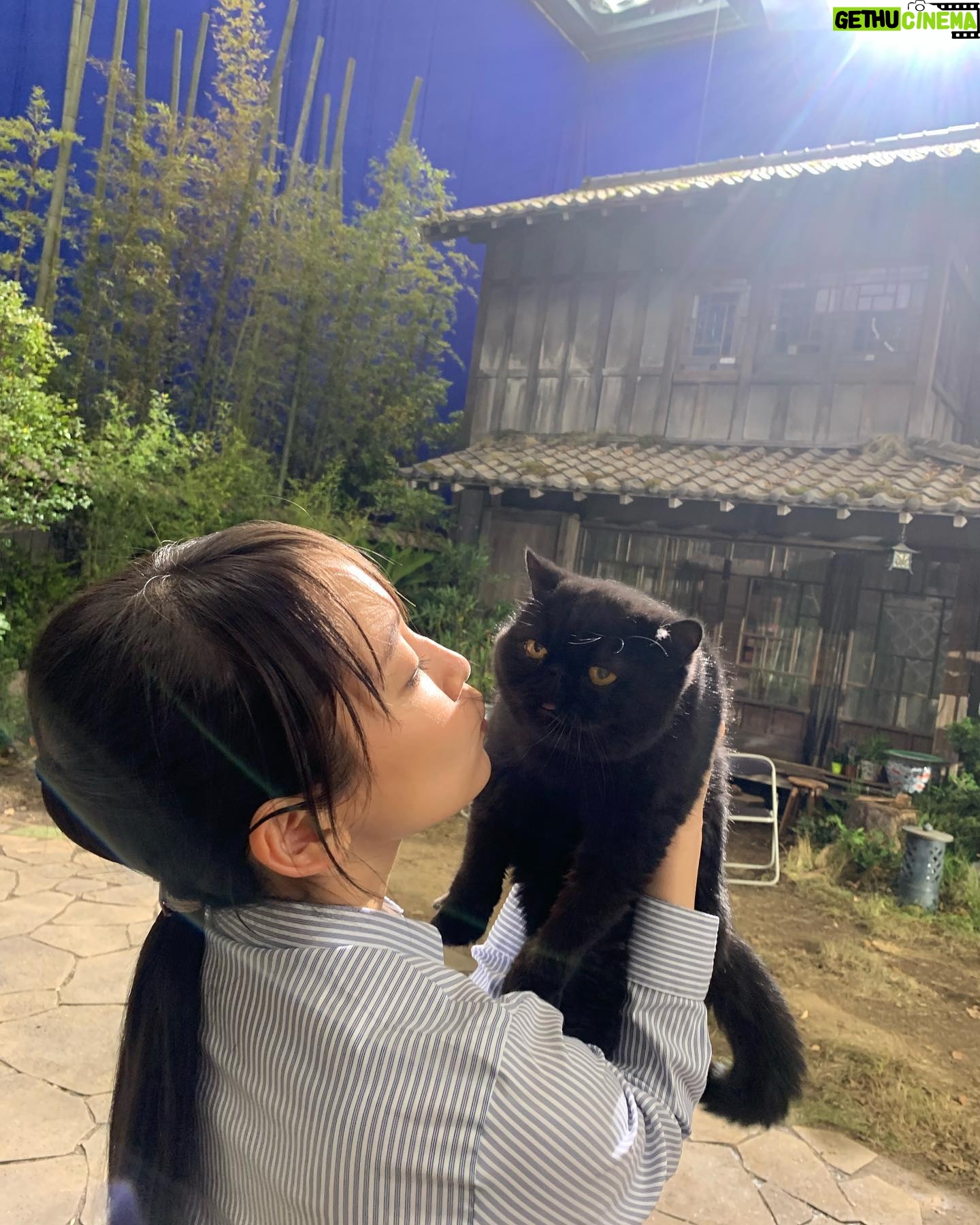 Riho Yoshioka - 172.8K Likes - "忍びの家 HOUSE OF NINJAS"
忍者猫🐈⬛
抜き足差し足上手です。
暗闇に紛れます。
人間を油断させます。
2月15日よりNetflix独占配信🥷
黒猫かわいいですよね。
この子はまた特別可愛かったです。
実家にも昔、おいでーと言うと走って抱きついてきてくれる黒猫がおりました。