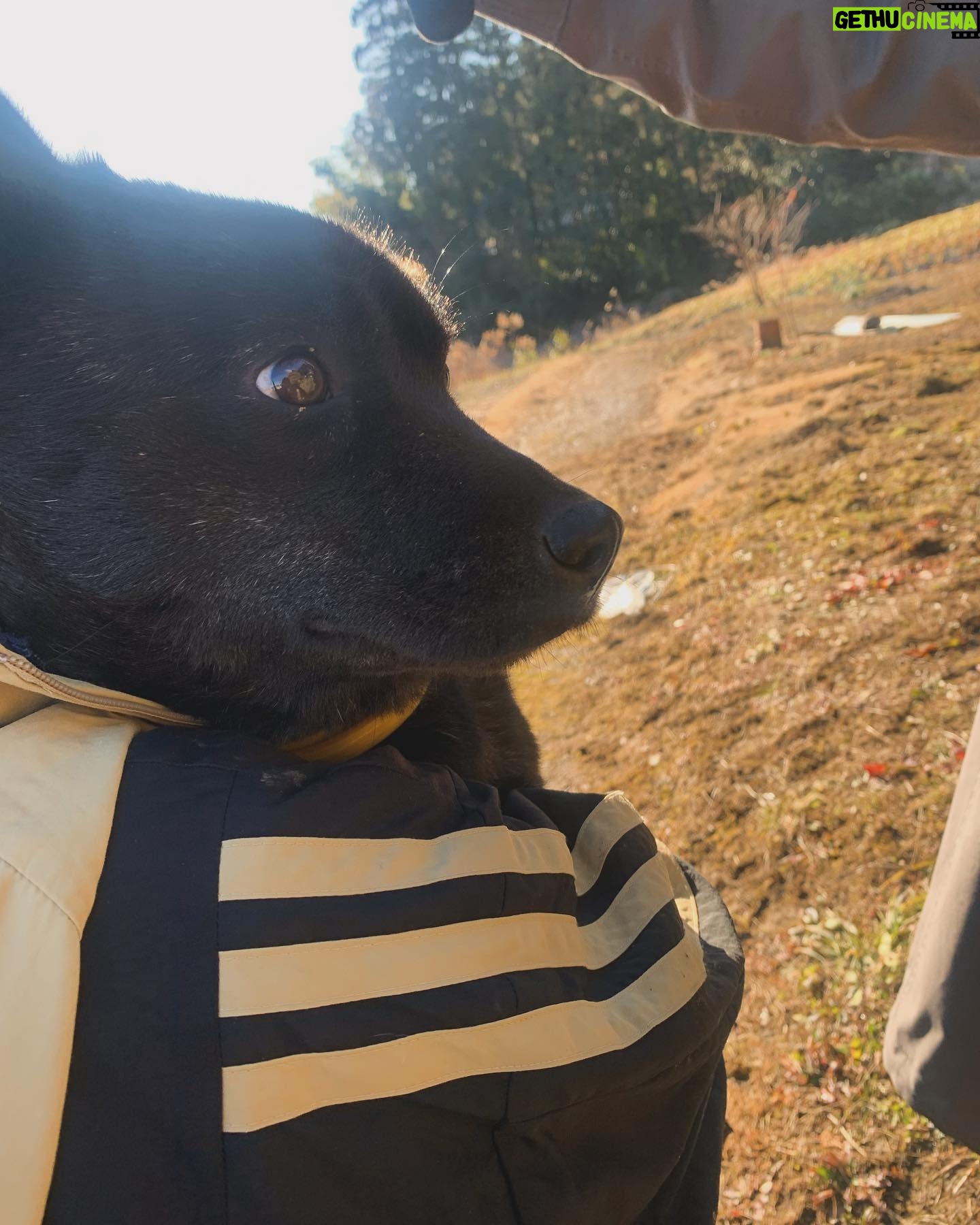 Riho Yoshioka Instagram - ガンニバル2で登場します🫶🏻美犬さん。 待っててね。