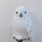Riho Yoshioka Instagram - ♡♡♡🦉♡♡♡ 大阪楽しかった。スリザリン @eri.watanabe_official
