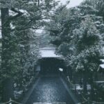 Riho Yoshioka Instagram - この度、 京都映画賞名誉会員に就任しました🌿 「日本映画発祥の地・京都」の映画文化の更なる振興や持続可能な担い手の育成、国際文化観光都市としての魅力発信に寄与するため「京都映画賞」は創設されました。 多くの方に京都所縁の作品鑑賞や映画館へ足を運ぶ機会を考え、京都の映画文化を盛り上げていくために活動していきます。 大好きだった地元の映画館、京都みなみ会館が閉館したりと寂しいニュースもありましたが、こうして盛り上げていける機会は様々なところにあると信じて自分に出来ることを模索していけたらなと思っています。 京都に移住した友人からの写真が素敵だったので載せます🪷実家でゆっくり過ごしたいな… #京都　#映画館 #京都映画賞
