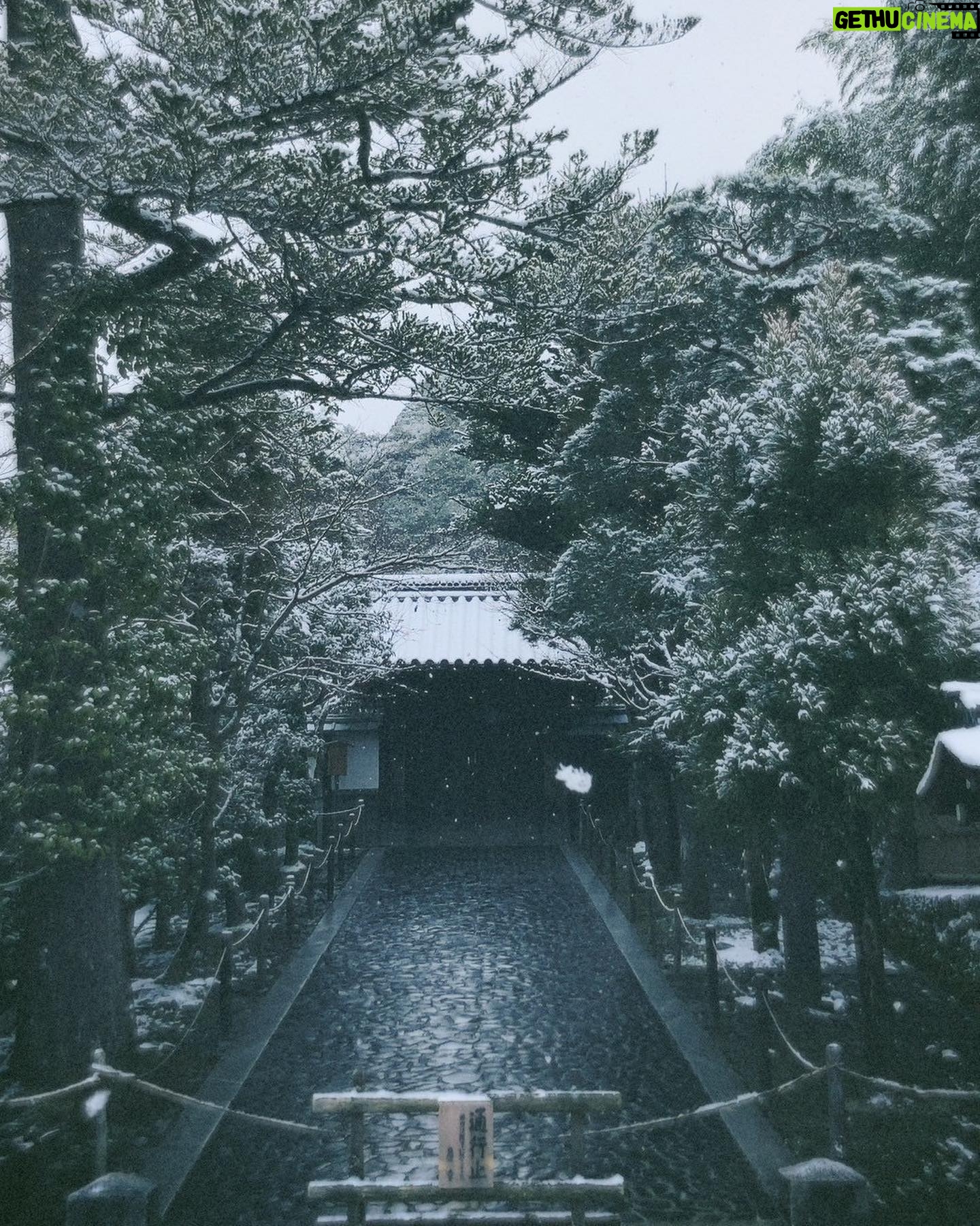 Riho Yoshioka Instagram - この度、 京都映画賞名誉会員に就任しました🌿 「日本映画発祥の地・京都」の映画文化の更なる振興や持続可能な担い手の育成、国際文化観光都市としての魅力発信に寄与するため「京都映画賞」は創設されました。 多くの方に京都所縁の作品鑑賞や映画館へ足を運ぶ機会を考え、京都の映画文化を盛り上げていくために活動していきます。 大好きだった地元の映画館、京都みなみ会館が閉館したりと寂しいニュースもありましたが、こうして盛り上げていける機会は様々なところにあると信じて自分に出来ることを模索していけたらなと思っています。 京都に移住した友人からの写真が素敵だったので載せます🪷実家でゆっくり過ごしたいな… #京都 #映画館 #京都映画賞