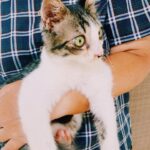 Riho Yoshioka Instagram - チビです。 80年代の夏にタイムスリップしたらおりました🐈‍⬛ ドラマ始まるので色々出ます。 9日　なんかオモ,10日 華大さんと千鳥くん, 午前中電波ジャック,雑誌など… 見つけてね。 @kadora_11 #ドラマ　#トキコイ #時をかけるな恋人たち