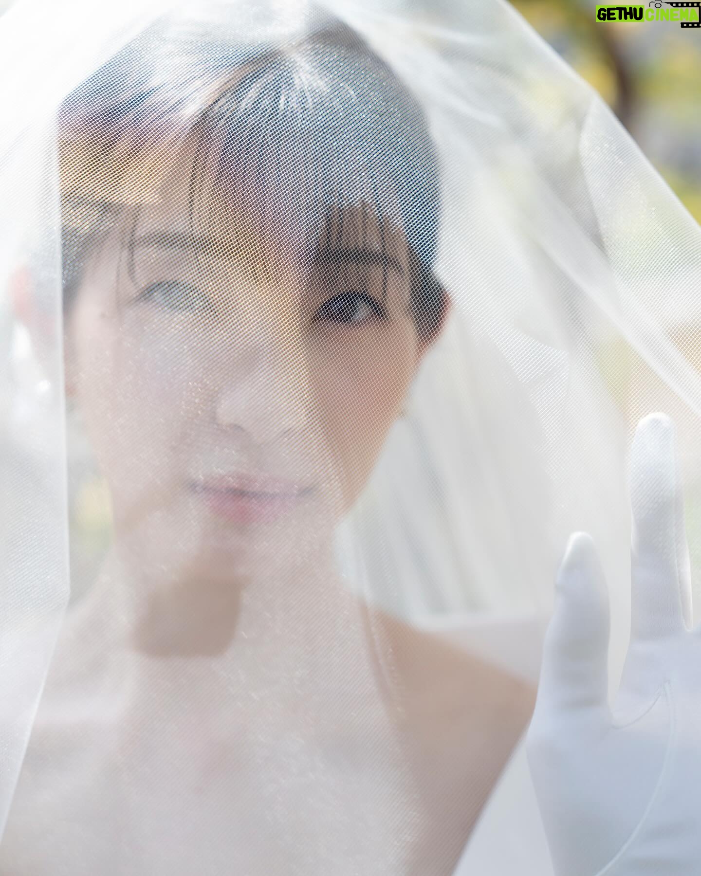 Rika Adachi Instagram - . 10代の頃からグラビアでお世話になってる LUCKMANさん @n.k.luckman 写真集とか週プレとか 本当にたくさんお世話になってて 撮影中に「いつかウエディングドレス撮ってくださいね〜」 なんて言ってたことを 実現してもらいました☺️🤍 今回のオーダーはLUCKMANらしい写真で!笑 そして家族たち、とくにおじいちゃんおばあちゃんを撮ってください!ってお願いしてました。 もうさいっこうに撮ってくださってて 好き🥰オブ好き🥰笑 第一弾LUCKMANさんにしか撮れない 足立梨花の1日をみなさんにおすそ分け📸✨ #アニヴェルセルみなとみらい横浜 #アニヴェルセル #anniversaries #ウエディング #wedding