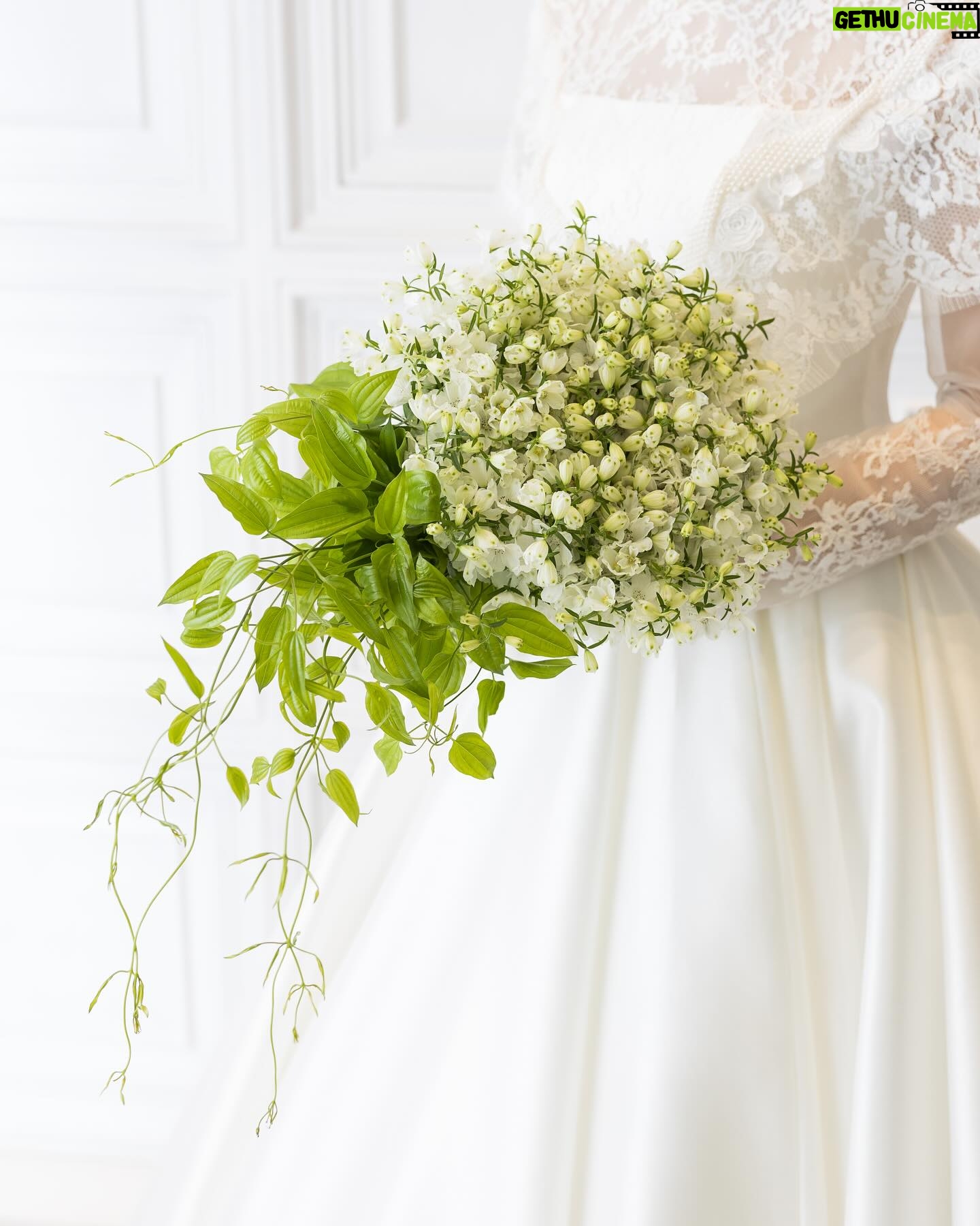Rika Adachi - 3.2K Likes - Wedding White Bouquet
女優足立梨花さんに提供させて頂いたデルフィニュームホワイトのウェディングブーケ
エマリーエドレスのレースに合わせて。
@adacchee
@emarie_wedding
@bees_photo_harano
#yuji_kobayashi_ #geometricgreen2011 #flowerartist #flowerdesign #flower #art #music #earth #japan ##芸術 #美術 #文化 #工芸 #花 #音楽 #地球 #東京 #自然