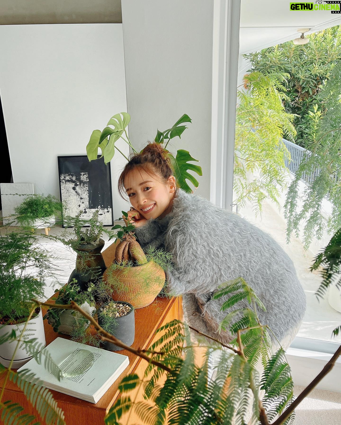 Rika Izumi Instagram - 🪴🪴🪴 緑に囲まれ癒されております🌿 お家にはどんな植物がありますか?