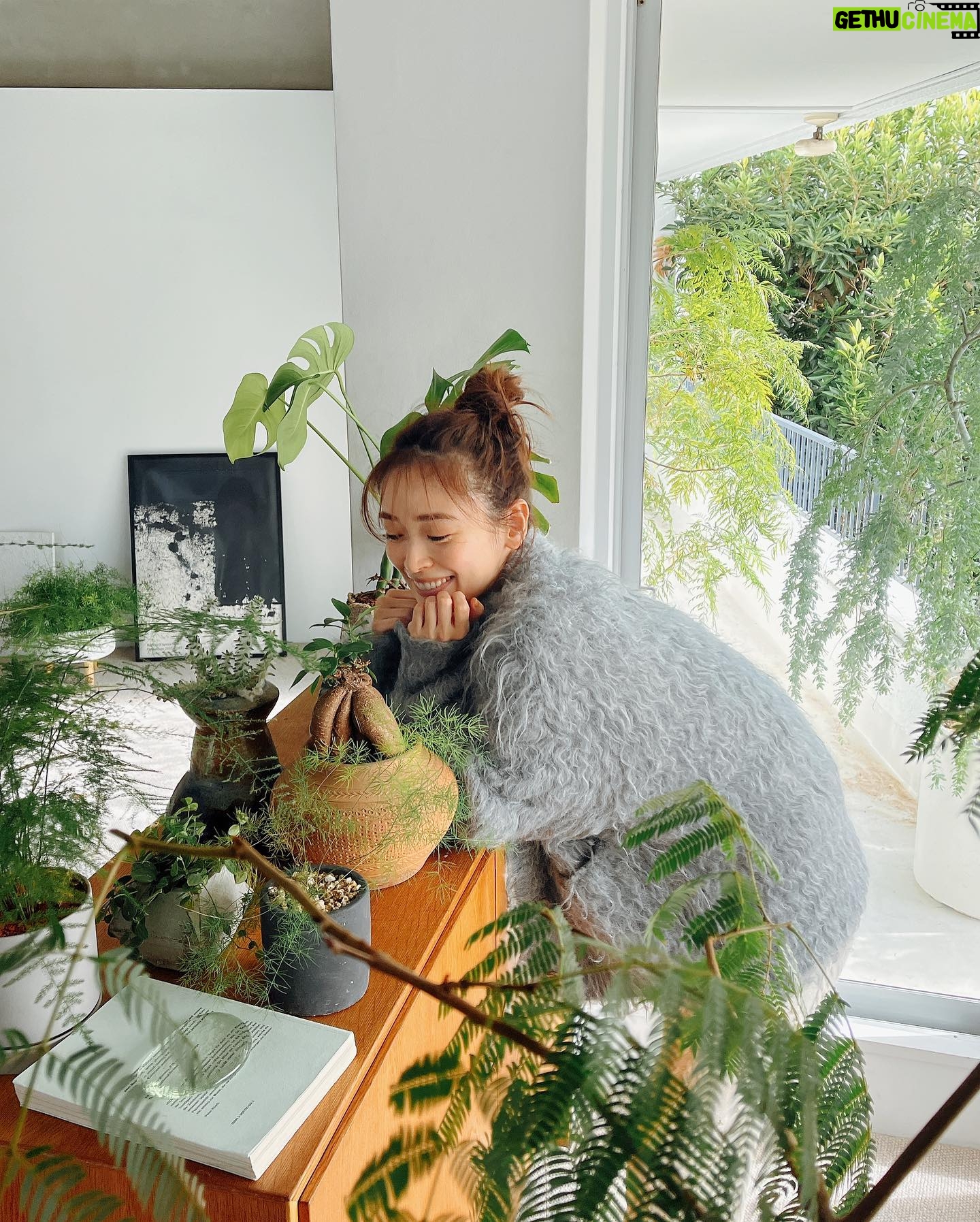 Rika Izumi Instagram - 🪴🪴🪴 緑に囲まれ癒されております🌿 お家にはどんな植物がありますか?