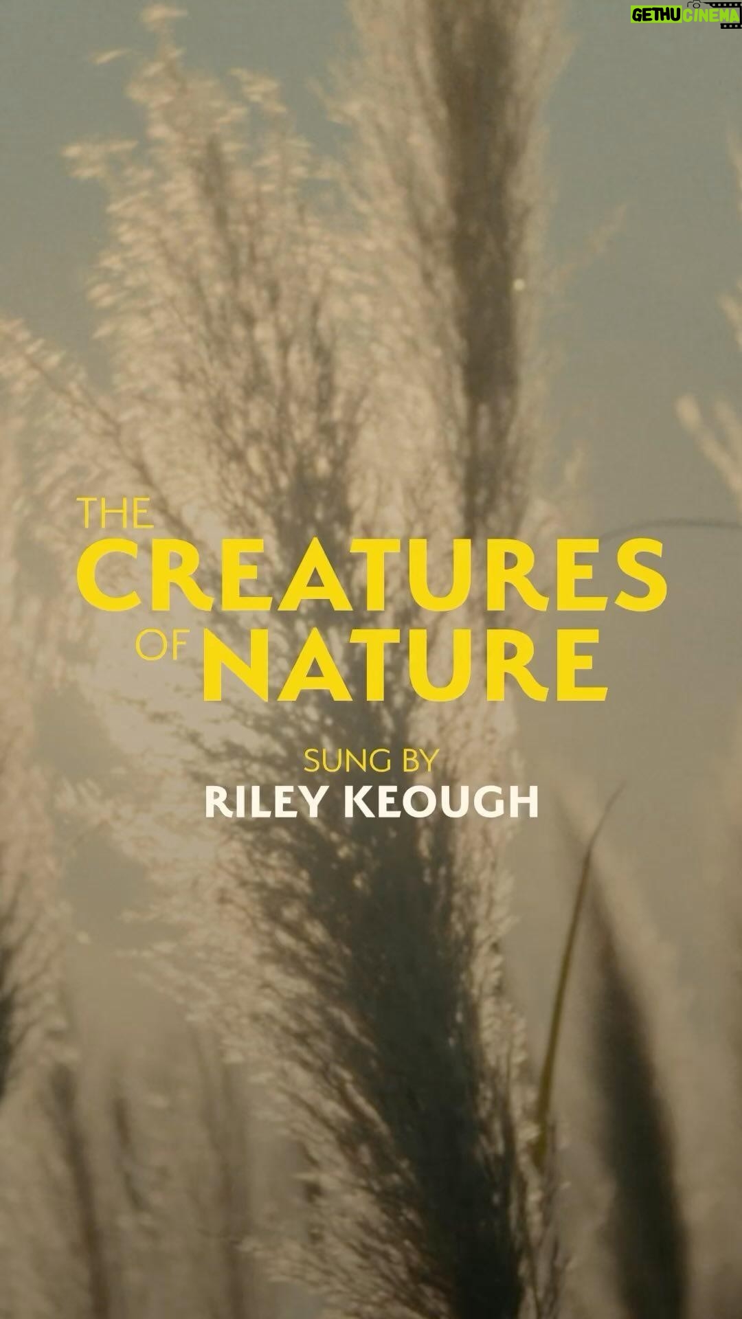 Riley Keough Instagram - Take a break from scrolling and be serenaded by the sweet sounds of the Sasquatch. Riley Keough sings (and grunts) “The Creatures of Nature”, the new single from the SASQUATCH SUNSET soundtrack with music by The Octopus Project. Now available to listen in full on all digital platforms. The full soundtrack drops on April 12, just in time for the film’s limited release in theaters! SASQUATCH SUNSET opens nationwide April 19. Pre-Order the soundtrack for SASQUATCH SUNSET at the link in bio! #SasquatchSunset #rileykeough #sasquatch #bigfoot #sasquatchmovie