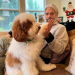 Riley Keough Instagram - A doggie Xmas