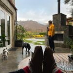 Riley Keough Instagram - A doggie Xmas