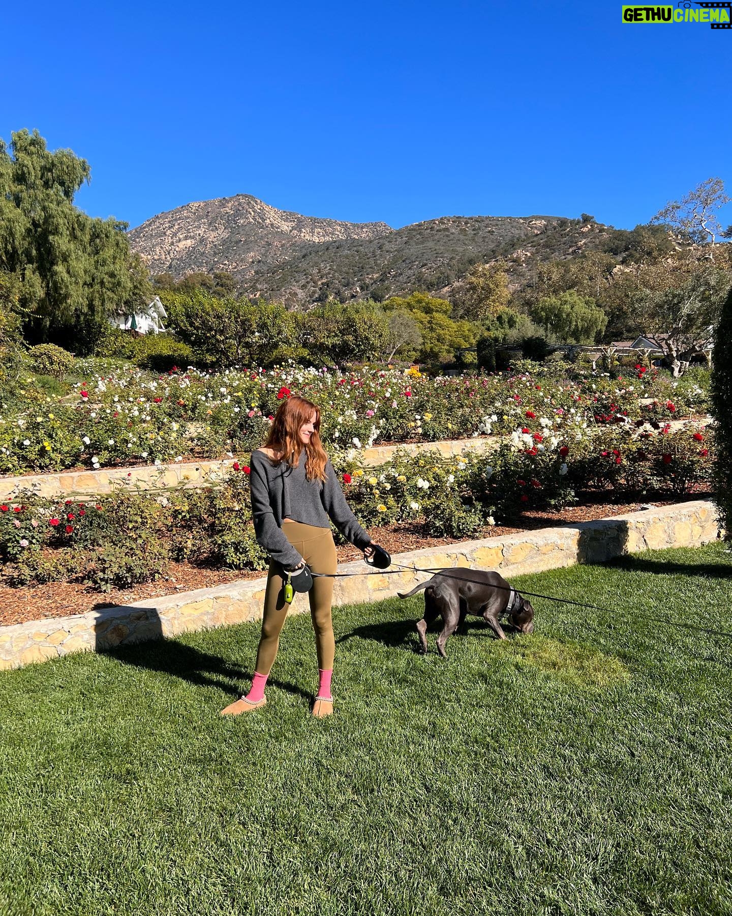 Riley Keough Instagram - Santa Barbara wild life safari