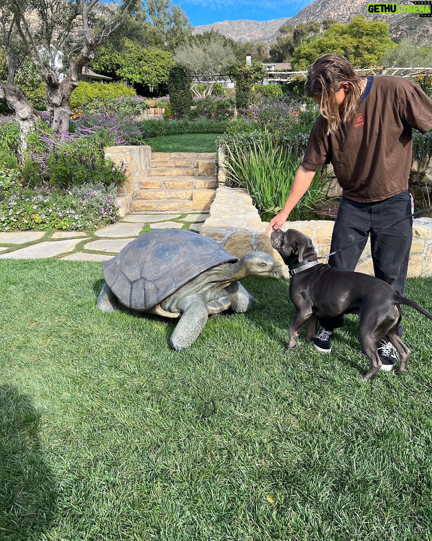 Riley Keough Instagram - Santa Barbara wild life safari