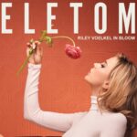 Riley Voelkel Instagram - In this ELETOM exclusive, actress Riley Voelkel speaks about Hightown and her Hollywood aspirations after working with screenwriters like Aaron Sorkin. Read the full interview to see what Voelkel has in store. ⁠ ⁠ Tap the link in our bio to read the cover story.⁠ ⁠ Credits: Editor-in-chief: Natalie Steger Creative Director: Claire Grisolano Managing Editor: Cyan Leigh Dacasin Photographer: Michael Robertson Stylist: Niki Zarrabi Hair: Amelia Asali Makeup: Jenny Lin #eletom #celebrateart #artistsjourney