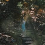 Riley Voelkel Instagram - A forest story with @current_air Photos by @mike.c.robertson