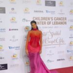 Rima Fakih Instagram - A night to remember for our beloved Children Cancer Center of Lebanon! @ccclebanon