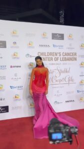 Rima Fakih Instagram - A night to remember for our beloved Children Cancer Center of Lebanon! @ccclebanon