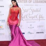 Rima Fakih Instagram - A true Honor to be your Ambassador… a night of hope for our beloved children and center @ccclebanon