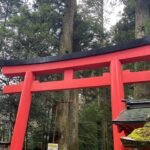 Rin Takahashi Instagram - 箱根旅行のとき💓 行ってみたかった #九頭竜神社 #箱根神社 #箱根七福神 に行ってきました✨🐉 華音ちゃんと🤍 @miyahara_kanon もちろん御朱印ももらってきました⛩️ 実は旅行1日目天気が悪かったので2日目も連続で行ってきました🫢 ご縁があるということですね🐲 いきたい神社がたくさん⛩️✨