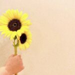 Rina Kawaei Instagram - ご報告です。 先日、第二子を出産致しました！ 母子ともに健康です☺︎ 支えてくださった方々に心から感謝致します。 今後とも、あたたかく見守って頂けますと幸いです🌻