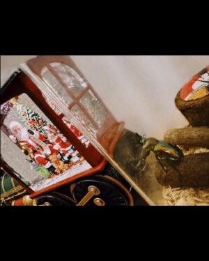 Rina Kawaei Instagram - Merry Christmas 🌲🤍
今年はチョコレートケーキを作りました☺︎
1ヶ月前から飾りを買い揃えたので大満足
ニジクワもクリスマス楽しんでる、多分。
では、明日からまた頑張りますぅ🫡