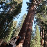 Rina Sawayama Instagram - Yosemite and Sequoia was 😭😭😭😭