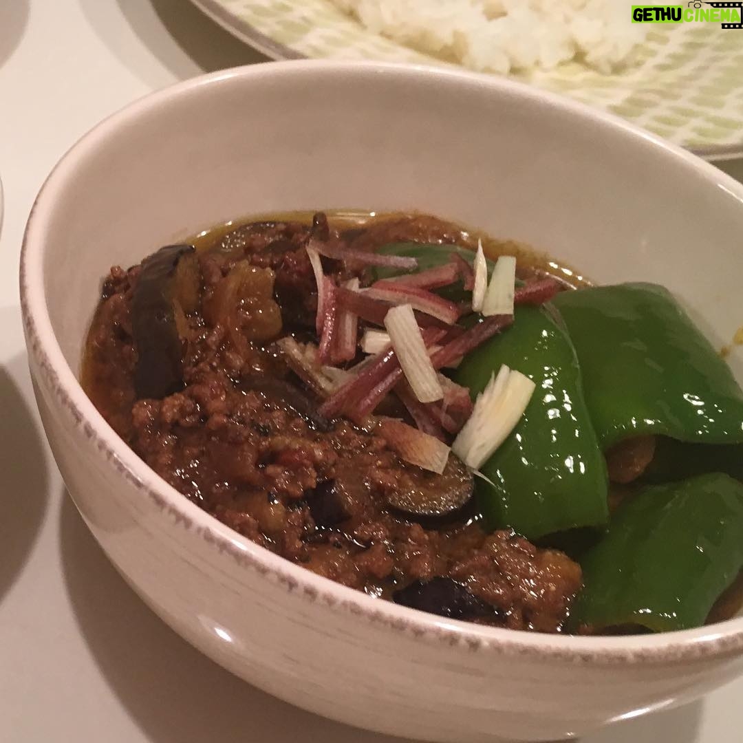 Rino Sashihara Instagram - ナスと万願寺とうがらしのカレー #みょうが太い