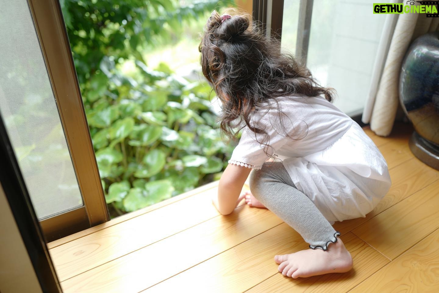 Rino Sashihara Instagram - いとこの子供です☺️ かわいくって癒された〜☺️ 写真撮ってたら入ってきたの☺️かわいい #ゴリ捏造 #入らせた #顔うつらないように入らせた #お子さんの顔公開してないお母さんタレント風 #自然に戯れてる風 #ゴリゴリ入らせてる #1枚目お母さん撮影 #2枚目わたし撮影 #カメラが良いので素敵に撮れるだけ