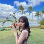 Rio Uchida Instagram - BSフジ『内田理央の贅沢ハワイ』 明日1月21日(日) 10:00～10:30放送です❤️ 普段は行かないようなちょっとニッチな場所に行ったり食べたり…贅沢な上級者ハワイ😼撮影外でも、ひとりでお散歩したり美味しいご飯を食べたりリフレッシュできました。 また行きたいなーーー🏝️ 是非ご覧くださいっ